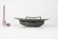 Foto von Bronzebreitrandschale (NHMW-PRAE-024512)
